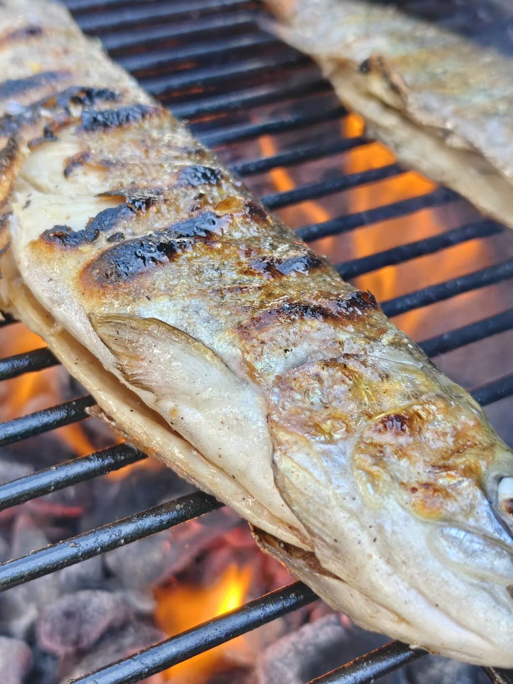Gegrillte Bergforelle auf dem Grillrost
